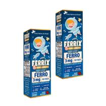 KIT 2X FERRIX (Ferro infantil) 30ml - Flora Nativa do Brasil KIT 2X FERRIX (Ferro infantil) 30ml - Flora Nativa do Brasil