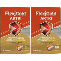 Kit 2X Flexigold Artri - 60 Cápsulas - Herbamed