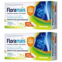 KIT 2X Floramais + Zinco Probiotico Lactobacillus 12 cápsulas - Maxinutri KIT 2X Floramais + Zinco Probiotico Lactobacillus 12 cápsulas - Maxinutri