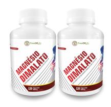 Kit 2x Magnesio Malato 500mg com 240 cápsulas Kit 2x Magnesio Malato 500mg com 240 cápsulas