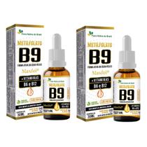 Kit 2x Metilfolato MaxFol Vitaminas B6 B12 Sabor Salada de Frutas 30ml Flora Nativa