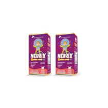 Kit 2x Neurix Mg Ferro Metilfolato e B12 2x150ml Salada de Frutas Flora Nativa