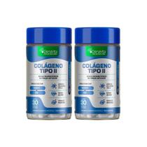 Kit 2x Pote Colágeno Tipo 2, Msm Magnésio, 3x1, Collagen, Uc2, Denavita