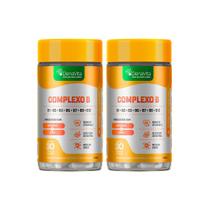 Kit 2x Pote Complexo B + Vitamina C + Zinco - Multivitamínico - Vegano - Denavita