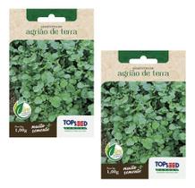 Kit 2x Sementes Agrião Da Terra Topseed Horta Alta Qualidade Kit 2x Sementes Agrião Da Terra Topseed Horta Alta Qualidade