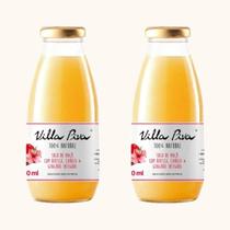Kit 2X: Suco de Maçã com Hibisco, Canela e Gengibre Sem Açúcar Villa Piva 300ml Kit 2X: Suco de Maçã com Hibisco, Canela e Gengibre Sem Açúcar Villa Piva 300ml
