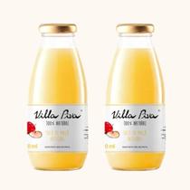 Kit 2X: Suco De Maçã Integral Sem Açúcar Villa Piva 300Ml