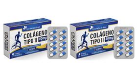 Kit 2x Suplemento Alimentar Colágeno Tipo 2 40mg 30 cápsulas Flora Nativa Kit 2x Suplemento Alimentar Colágeno Tipo 2 40mg 30 cápsulas Flora Nativa