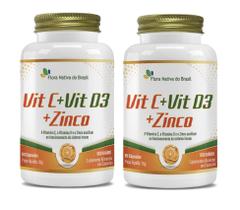 Kit 2x Suplemento Alimentar Vitamina C Vitamina D3 e Zinco 60 cápsulas Flora Nativa Kit 2x Suplemento Alimentar Vitamina C Vitamina D3 e Zinco 60 cápsulas Flora Nativa