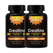 Kit 2x Suplemento Creatina 500mg 120 Cápsulas - CHAMEL Kit 2x Suplemento Creatina 500mg 120 Cápsulas - CHAMEL