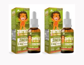 Kit 2x Suplemento Infantil Kids Zintrix (20ml) - Flora Nativa Kit 2x Suplemento Infantil Kids Zintrix (20ml) - Flora Nativa