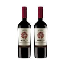 Kit 2x Vinho Tinto Chileno Aliwen Cabernet Sauvignon Syrah 2020