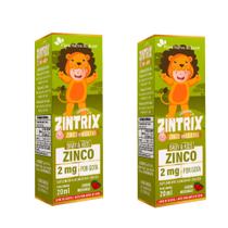KIT 2X ZINTRIX (Zinco Infantil) 20ml - Flora Nativa Sabor:Morango