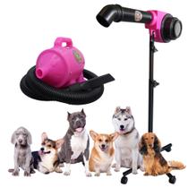 Kit 2x1 Soprador Pet Profissional + Secador Pet Profissional ROSA