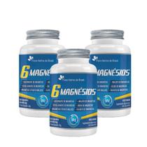 Kit 3 6 Magnésios Taurato, Malato, Citrato, Ascorbato, Quelato e Óxido 3x60 cps Flora Nativa