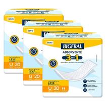 Kit 3 Absorventes Geriátricos Bigfral Regular Plus com 20un cada