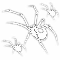 Kit 3 Adesivo Aranha Branca Para Carro Moto E Bicicleta Kit 3 Adesivo Aranha Branca Para Carro Moto E Bicicleta