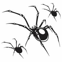 Kit 3 Adesivo Aranha Preta Para Carro Moto E Bicicleta Kit 3 Adesivo Aranha Preta Para Carro Moto E Bicicleta