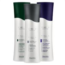 Kit 3 Amend Special Care Shampoo Anticaspa + Antirresíduos + Desamarelador 250ml