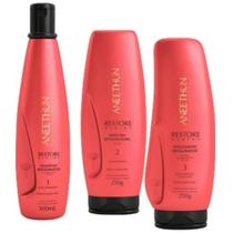 Kit 3 Aneethun Restore System Restaurador Sem Adição De Sal
