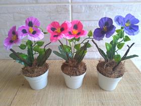 Kit 3 arranjos de Mini Orquídeas com Vaso - Divina Flor