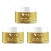 Kit 3 Aspa Máscara Reconstrutora Vegano Sem Silicone 300g