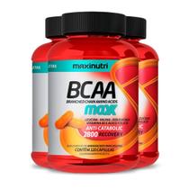 Kit 3 Bcaa Maxx Maxinutri 120 Cápsulas Kit 3 Bcaa Maxx Maxinutri 120 Cápsulas