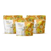 Kit 3 Biscoitos P/Cães Be Nature Organnact Maracujá, Camomila e Mel 150g