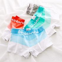 Kit 3 Boxers Feminina em Algodão Cos Largo Premium Elioutlet Kit 3 Boxers Feminina em Algodão Cos Largo Premium Elioutlet