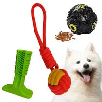 Kit 3 Brinquedos Pet interativos para Cães Bola Petisco Mordedor Puxador Bola Corda Escova de dente Pet Kit 3 Brinquedos Pet interativos para Cães Bola Petisco Mordedor Puxador Bola Corda Escova de dente Pet