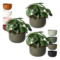 Kit 3 Cachepo Due N6 Cuia 21 Plantas Vasos Raiz 24cm - Cor