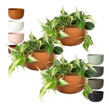 Kit 3 Cachepo Due N6 Cuia 21 Plantas Vasos Raiz 24cm - Cor