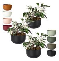 Kit 3 Cachepo Due N6 Cuia 21 Plantas Vasos Raiz 24cm - Cor