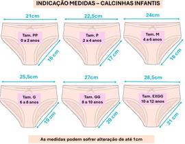 Kit 3 Calcinha infantil Algodão estampada Flor da Paixão 03 Kit 3 Calcinha infantil Algodão estampada Flor da Paixão 03