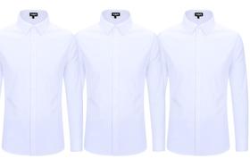 Kit 3 Camisas Social Lisa Masculina Manga Longa Diversas Cores Kit 3 Camisas Social Lisa Masculina Manga Longa Diversas Cores