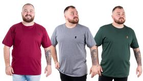 Kit 3 Camisetas Camisas Blusas Plus Size G1 G2 G3 Flero