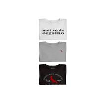 Kit 3 Camisetas Carimbo Gaze Brasa E Orgulho Reserva Mini Kit 3 Camisetas Carimbo Gaze Brasa E Orgulho Reserva Mini