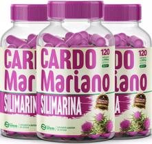 Kit 3 Cardo Mariano 500mg 360 Cápsulas Forma Suprema Kit 3 Cardo Mariano 500mg 360 Cápsulas Forma Suprema