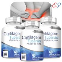 Kit 3 Cartilagem De Tubarão + Cálcio De Ostra De 800Mg