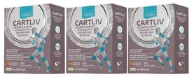 Kit 3 Cartliv Colágeno Tipo II 40mg 60Cps - Equaliv