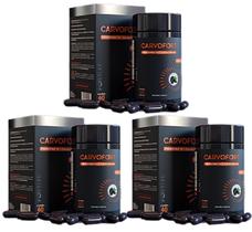 Kit 3 Carvofort Piridoxina + Carvão Ativado 60 Caps Fortlife