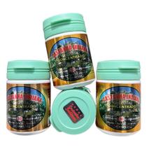 KIT 3 Castanha Indiana Concentrado, 90 Cápsulas, Suplemento Natural KIT 3 Castanha Indiana Concentrado, 90 Cápsulas, Suplemento Natural