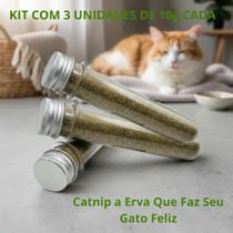 Kit 3 Catnip Em Pó Erva Do Gato Natural Anti Stress 30g Kit 3 Catnip Em Pó Erva Do Gato Natural Anti Stress 30g