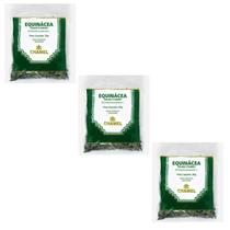 kit 3 Chá Equinácea Planta - Chamel kit 3 Chá Equinácea Planta - Chamel