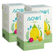 Kit 3 Chá Leve Sowl Hibisco Carqueja Hortela Psyllium 63 sachês