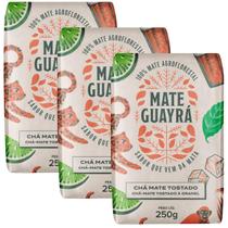 Kit 3 Chá Mate Erva Mate Guayra Tostado 250 gramas Gelado ou Quente Kit 3 Chá Mate Erva Mate Guayra Tostado 250 gramas Gelado ou Quente