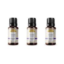 Kit 3 Coala Essência Aromatizante Concentrado Lavanda 10ml Kit 3 Coala Essência Aromatizante Concentrado Lavanda 10ml