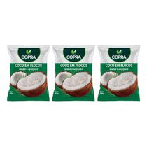 Kit 3 coco ralado em flocos umido e adoçado copra 50g natural para receitas Kit 3 coco ralado em flocos umido e adoçado copra 50g natural para receitas