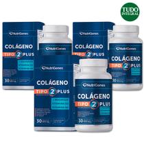 Kit 3 Colageno Tipo 2 Plus 500 Mg 30 Caps - Nutrigenes Kit 3 Colageno Tipo 2 Plus 500 Mg 30 Caps - Nutrigenes