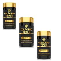 Kit 3 Colágeno Tipo II Premium 500mg 3x60 cps Floral Ervas